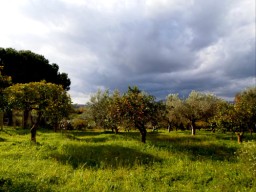 TN_SAM_4890_cielo minaccioso.JPG